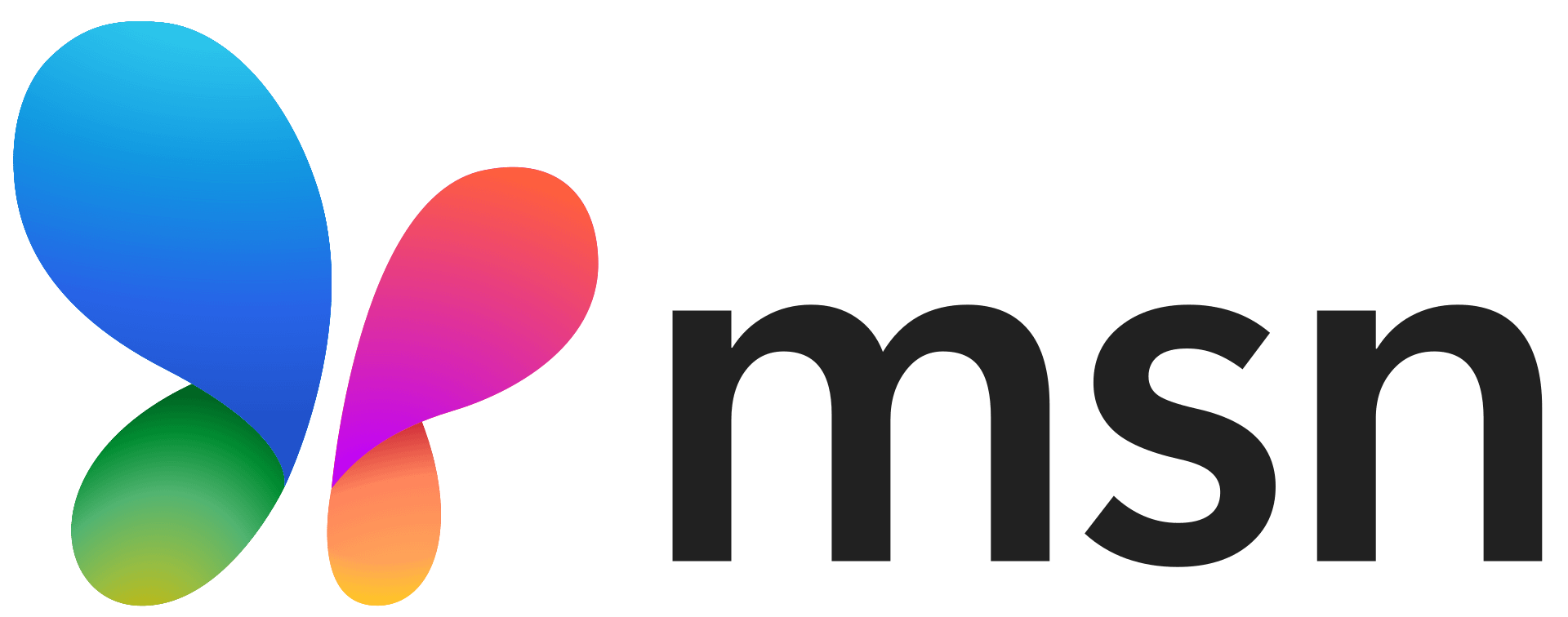 2024 new msn logo.svg